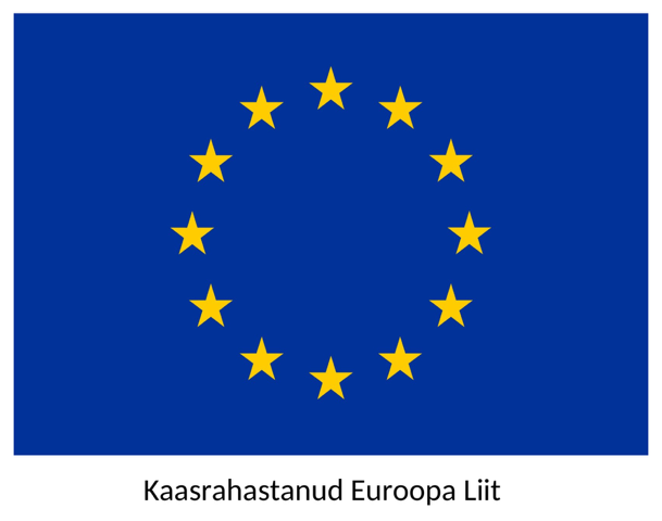 Euroopa Liidu lipp